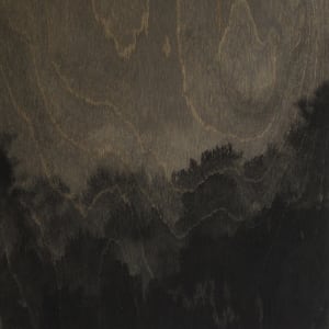 Dark Ridge by Isabel Wyatt