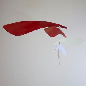 Feather Flight #4 by Antje Roitzsch