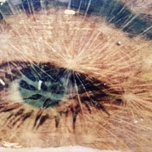 Aging Eye in Bloom by Eva-Marie Amiya