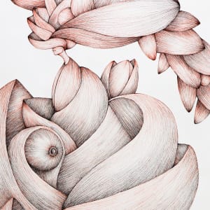 Serie De Flores - No. 2 by Andre Yomtob