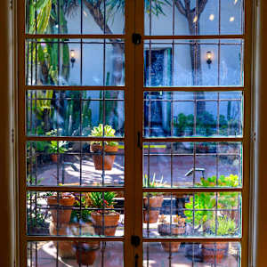 Garden Window by Marcella Apodaca