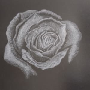 Rose by Marina Arsova