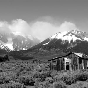 Failed Homestead by Sheldon Bachus