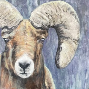 Portrait of a Bighorn Sheep by Lisa Baird