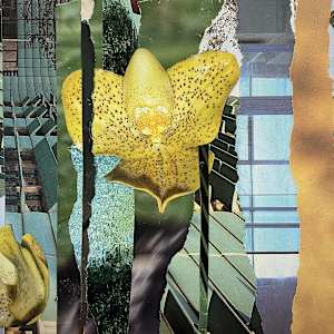 Gold Orchid by Kathleen Bergen