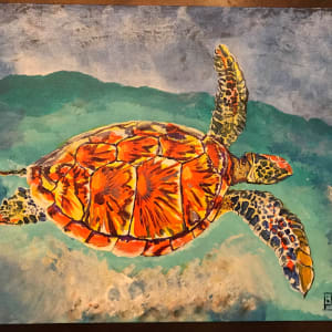 BlakeET’s First Sea Turtle by Blake ET