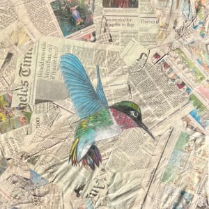 Hummingbird on Newspaper by Anjanette Blanciak