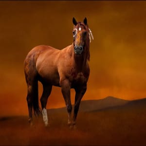 After... by Brady Willette, Image 2.