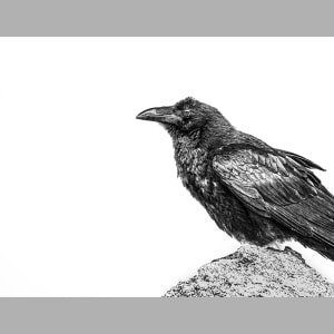 Ravens Rock by Cara Brewer