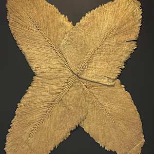 Golden Leafs by Oleksandr Brzhezytskyi