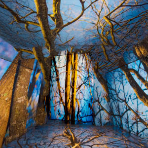 Enter by Dawnja Burris