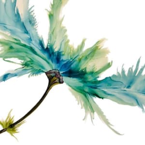 Freydis by Barbara Caldwell