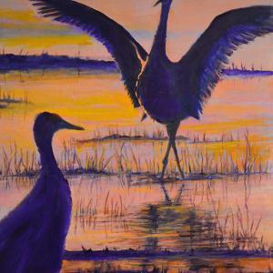 The Sandhill Crane Dance by Jackie Carroll