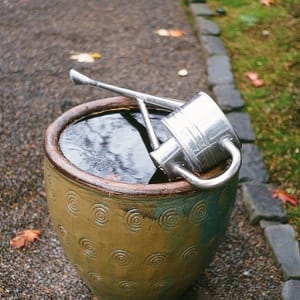 Planter with Watering Can by Denis Chamberlin