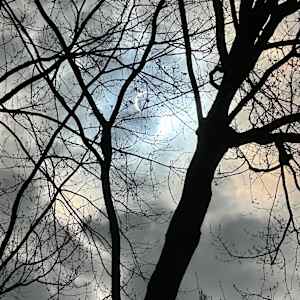 Solar Eclipse by Christine Moerenhout-Hubloue