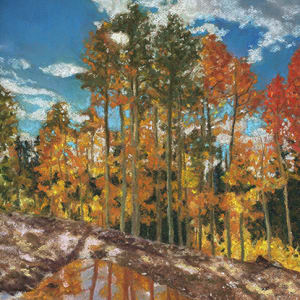 Color Pop! by Cindy Coleman