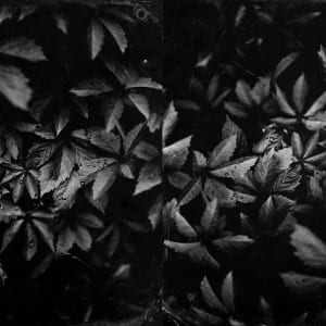 Everything Will Be OK by Kendra Connally, Image 11.