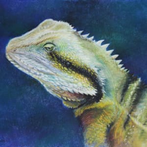 Bearded Dragon by Nikki Coulombe