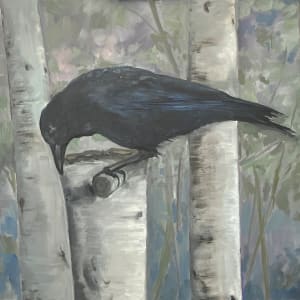 The Crow_ Looking for Food in an Alder by Evan Degenfelder