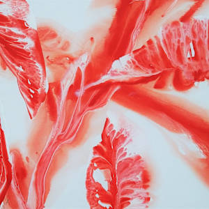 Hibiscus Blooming by Alane Enyart