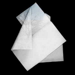 Latent Memory 6 by Amy Evans, Image 5.