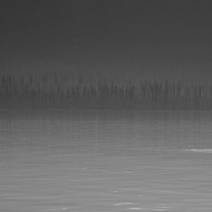 Silhouettes on the Lake by Vincent G Ferrari