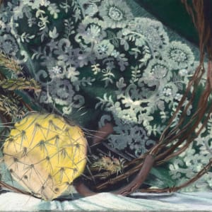 Menopause by Lucy Finch