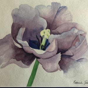 Purple Tulip by Patricia Fox