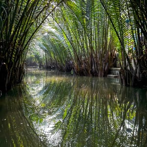 The Stage is Set by Leslie Mirman Geffen