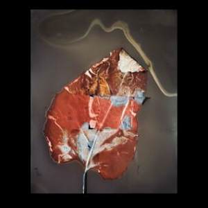 Amalgamate by Aimee George