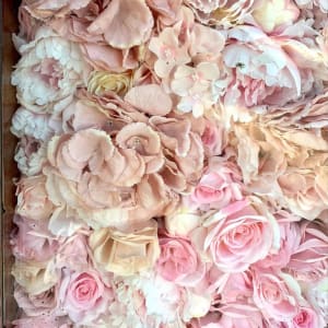 Rose Petals by Robert Gideon
