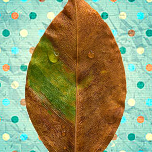 Orange Green Leaf with Blue and Colorful Dots by George Gonzalez