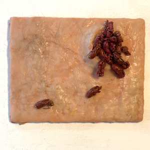 Emergence by Johanna Guilfoyle