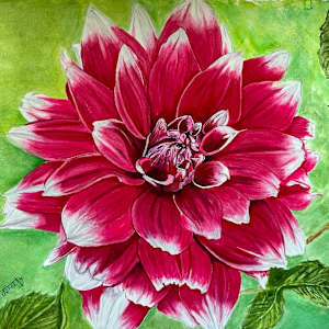Dahlia Flame by Dorothy Guy