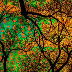 Autumn by Kylo-Patrick Hart