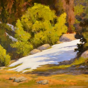 Last Patch of Snow by Connie Herberg