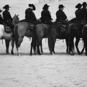 100 Horses by Karen Hight