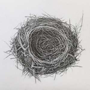 Untitled (Nest) by Heidi Hogden
