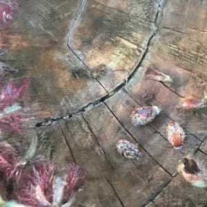 Castor Bean Seed Pods by Johanne Lamarche