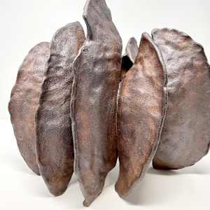 Seed pod by Paola Kassabian