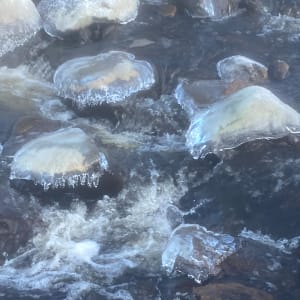 Ice Jellyfish, Winter County Durham, UK by James Keay-Bright