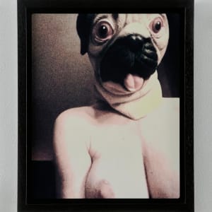 Bitch by Rebeccah K. Klodt