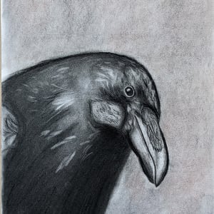 Raven by Megan LaBresh