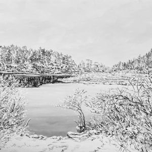 Long Pond by David LaPalombara