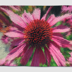 Pink Echinacea by Phillippa Lack