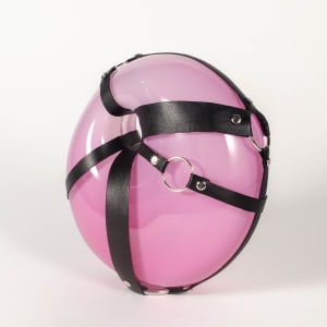 Harnessed Pink Donut by Lauren Nicole Rice