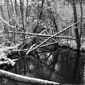 Onset of Winter by Lisa M Cronin