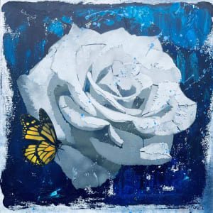 Life Among the Grey by Matthew McCain