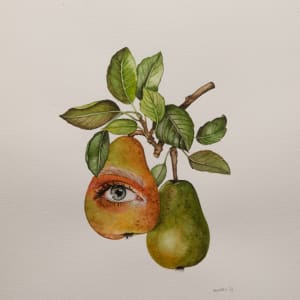 The Botanical Series: II The Pear by Diana Moeller
