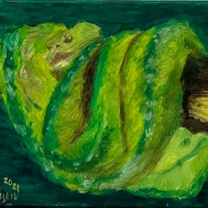 Verde Python by Hien T Nguyen